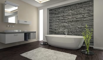 Custom Designer Bathroom - Metro Denver Luxury Homes for Sale