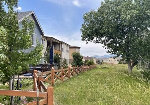 Skyestone Homes for Sale in Broomfield, Colorado